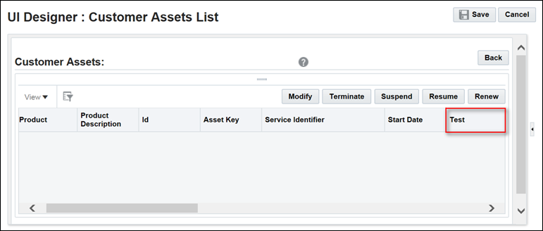 Customer Assets List Layout with Custom Asset Attribute as Field