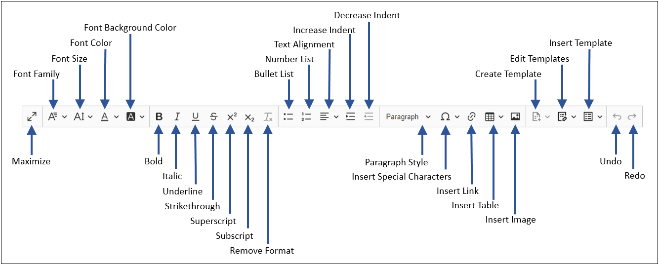 Rich Text Editor (RTE) Field