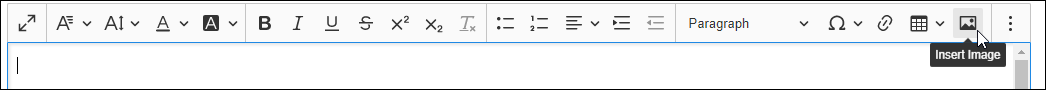 Select Insert Image icon in Rich Text Editor