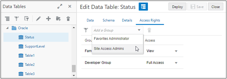 Access Rights tab - Add Admin Group