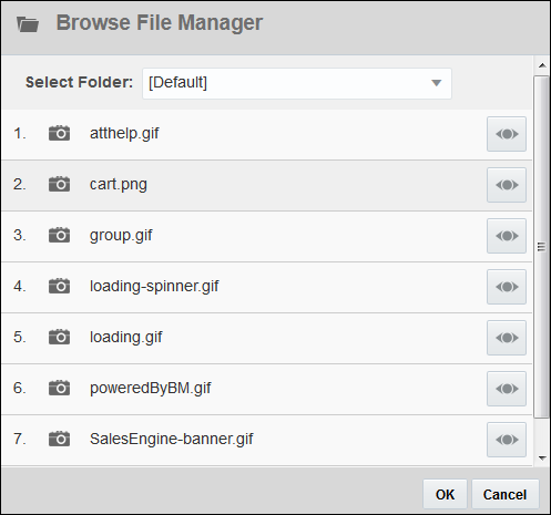 Browse File Manager dialog