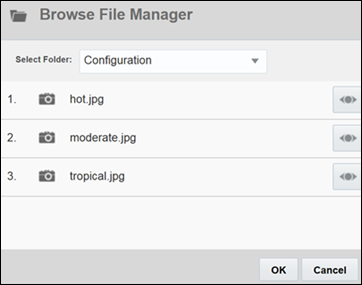 Browse File Manager dialog